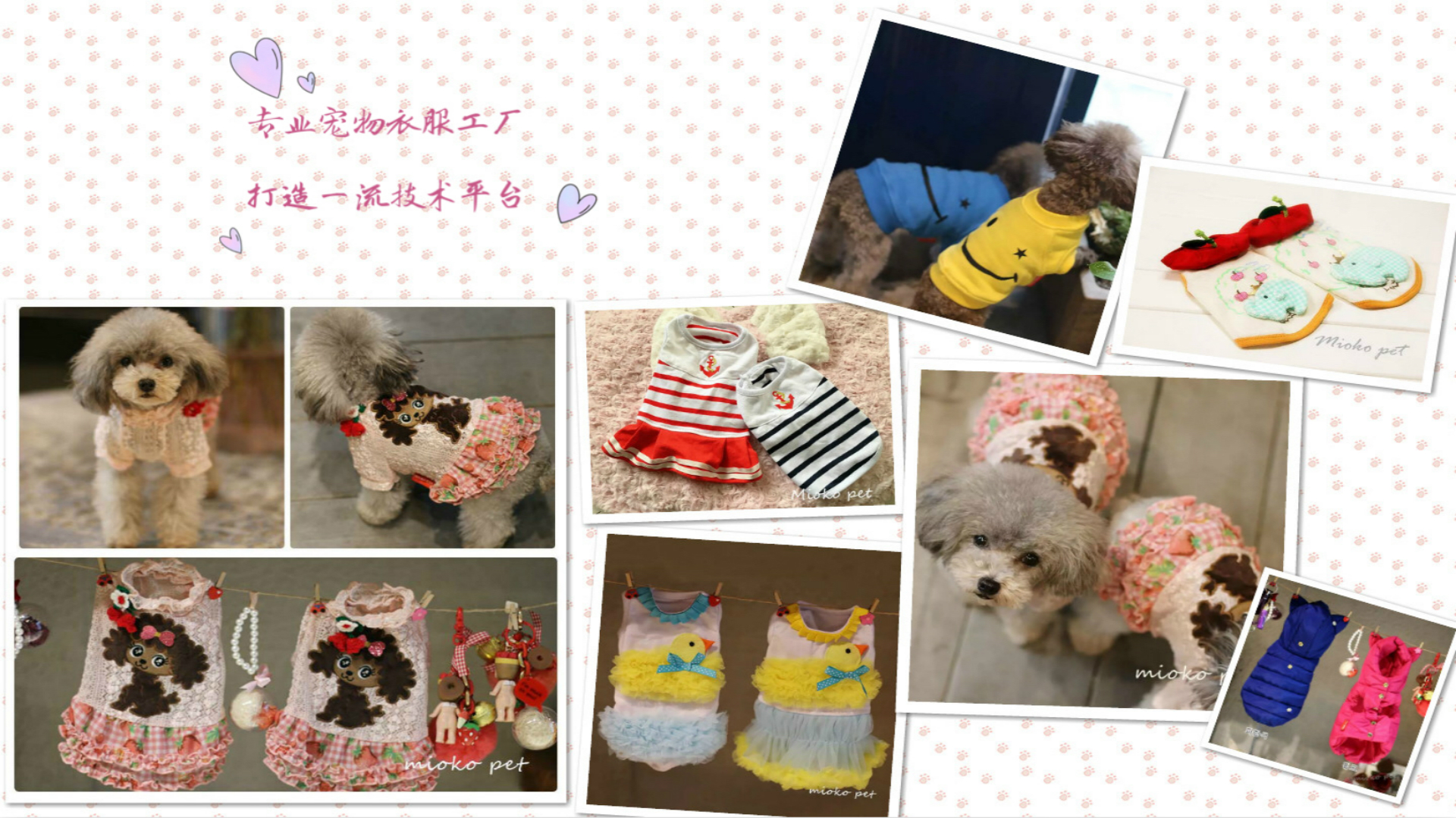 注重細節，持續改進